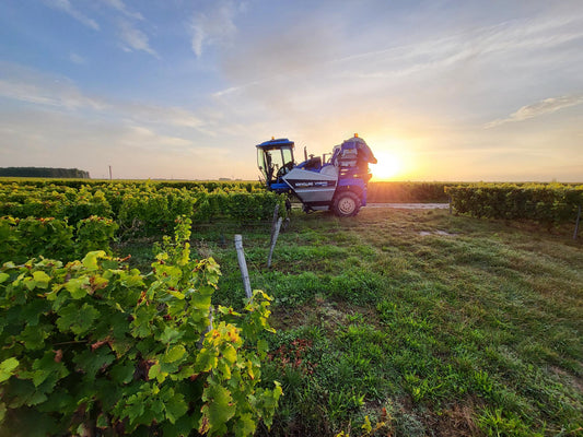 Domaine de Vilallin - Juillet 2023