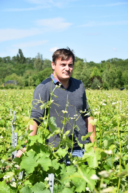 Domaine de Villalin - Octobre 2022