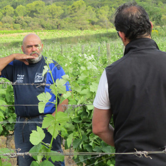 Domaine La Croix Ste Eulalie - Mai 2024